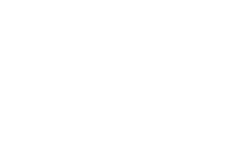 TSG Servicios